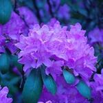 Peggy Fitzpatrick - @fitzpatrick.peggy - Instagram