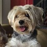 Peggy Flaherty - @midge6262 - Instagram