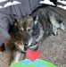 Peggy Fleck - Facebook