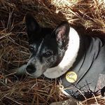 Peggy Fleck - @pfle.ck - Instagram
