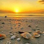 Peggy Fleck - @peggy.fleck.1 - Instagram