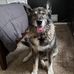 Peggy Fleck - Facebook