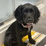 🐾 Peggy forster 🐾 - @peggyforster_pegster - Instagram