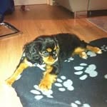 Peggy Förster - @peggyforsz - Instagram