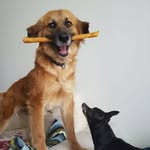 Peggy Förster - @hier_und_heute.pf - Instagram
