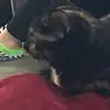 Peggy Frame - @peggy.frame - TikTok