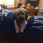 Peggy Frame - Facebook