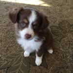 Peggy Frame - @pzframe - Instagram