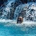 Peggy Fraser - Facebook