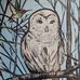 Peggy Fraser - Facebook