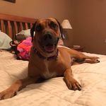 Peggy Fraser - @manchita70 - Instagram
