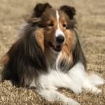 Peggy Fraser Staab - @fraserstaab - Instagram