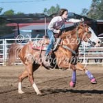 Peggy Frey Cecil - @peggyfreycecil - Instagram