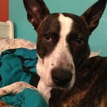 PeggySue - @peggysuegamble - Instagram