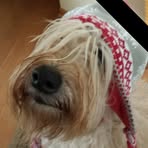 Peggy Gardner - Facebook