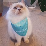 Peggy Gardner - @peggygardner960 - Instagram