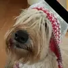 Peggy Gardner - @peggy.gardner98 - TikTok