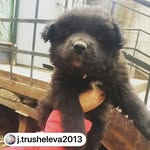 Peggy Garrison - @mwoodajmatmib675 - Instagram