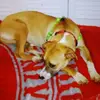 Peggygarrison - @user5386488648602 - TikTok