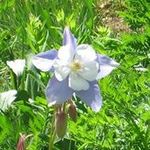 Peggy Lippold Gates - @10peggy17 - Instagram