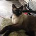 Peggy Gilley - Facebook