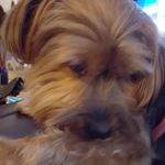 Teddy_bear - @peggy.goodson.92 - Instagram