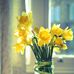 Peggy Grace - Facebook