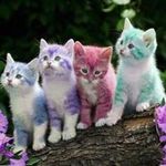 Peggy DeGraff - @peggydegraff - Instagram