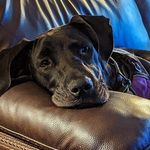 Peggy Graff-Perrett - @pegger57 - Instagram