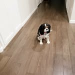 Peggy Gregory - @peggygregory075 - Instagram