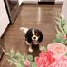 Peggy Gregory - Facebook