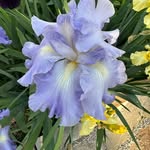 Peggy Gregory - @flowerexpert - Instagram