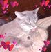Peggy Gregory - Facebook