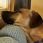 Peggy Grenier Spencer - Facebook