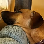 Peggy Grenier Spencer - @peggyspencer6214 - Instagram
