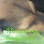 peggyhalbert - @peggyhalbert - Instagram