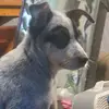 peggyhalbert - @peggyhalbert4 - TikTok
