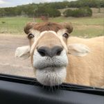 Peggy Hamby - @pphslp - Instagram