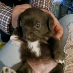 Peggy Hamby - @james_peggy_hamby - Instagram