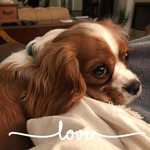 Peggy Beeland Harrell - @hatterasgypsy - Instagram