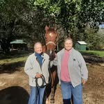 Peggy Harrell - @peggyharrell777 - Instagram