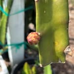 Peggy Tripp - @peggyharrelltripp - Instagram