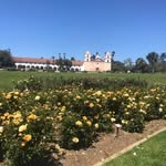 Peggy Haskell - @peggy.haskell.7 - Instagram
