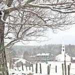 Peggy Haskell Moss - @peggymoss - Instagram