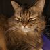Peggy Herrick - Facebook