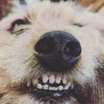 Peggy Hearn - @peggleberry - Instagram