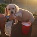 Peggy Shinn Heckel - Facebook