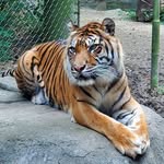 Peggy Hedges - @hedgespeggy - Instagram