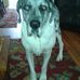 Peggy Heffner - Facebook