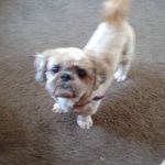 Peggy Heise - @heisepeggy - Instagram